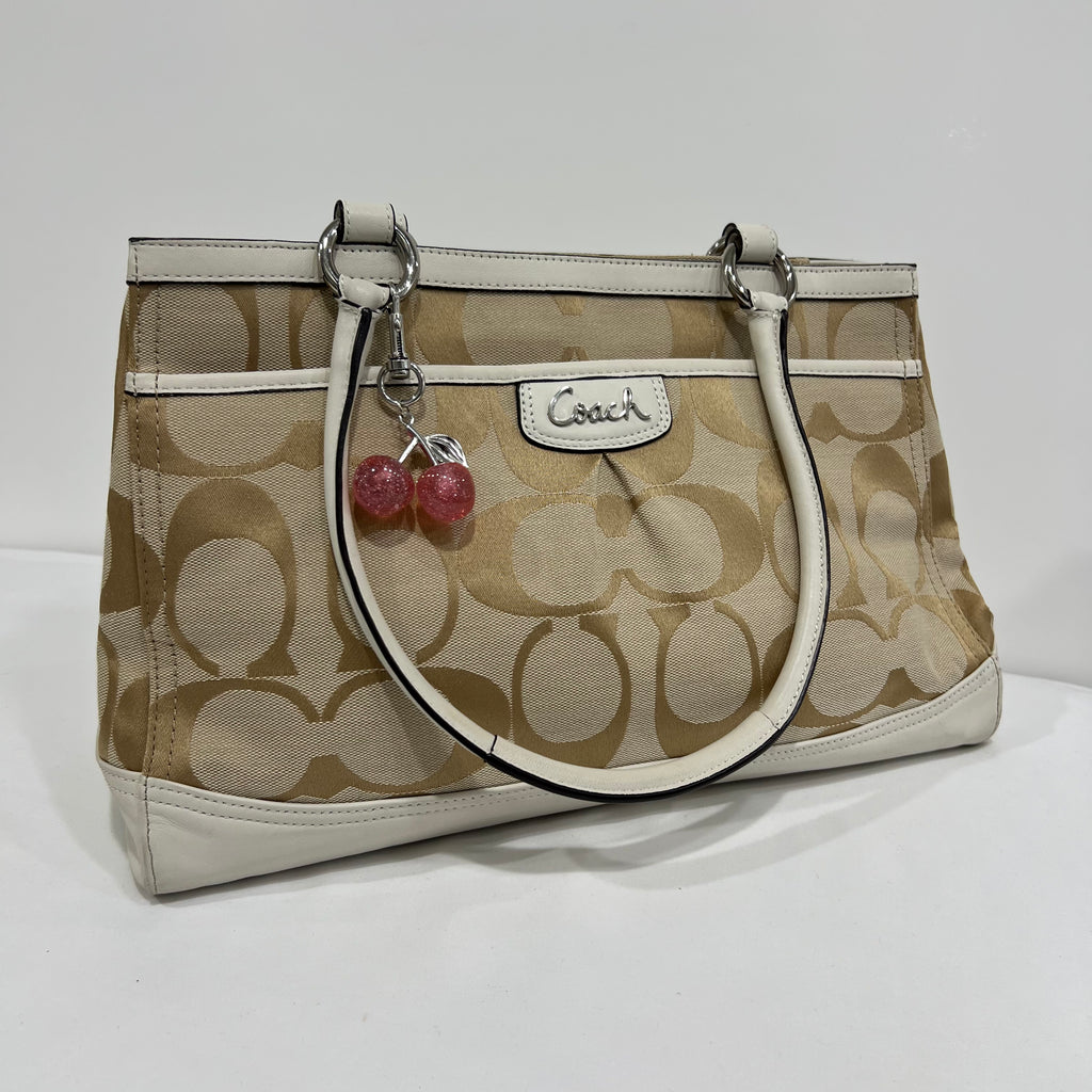 Coach Signature Carryall Bag
