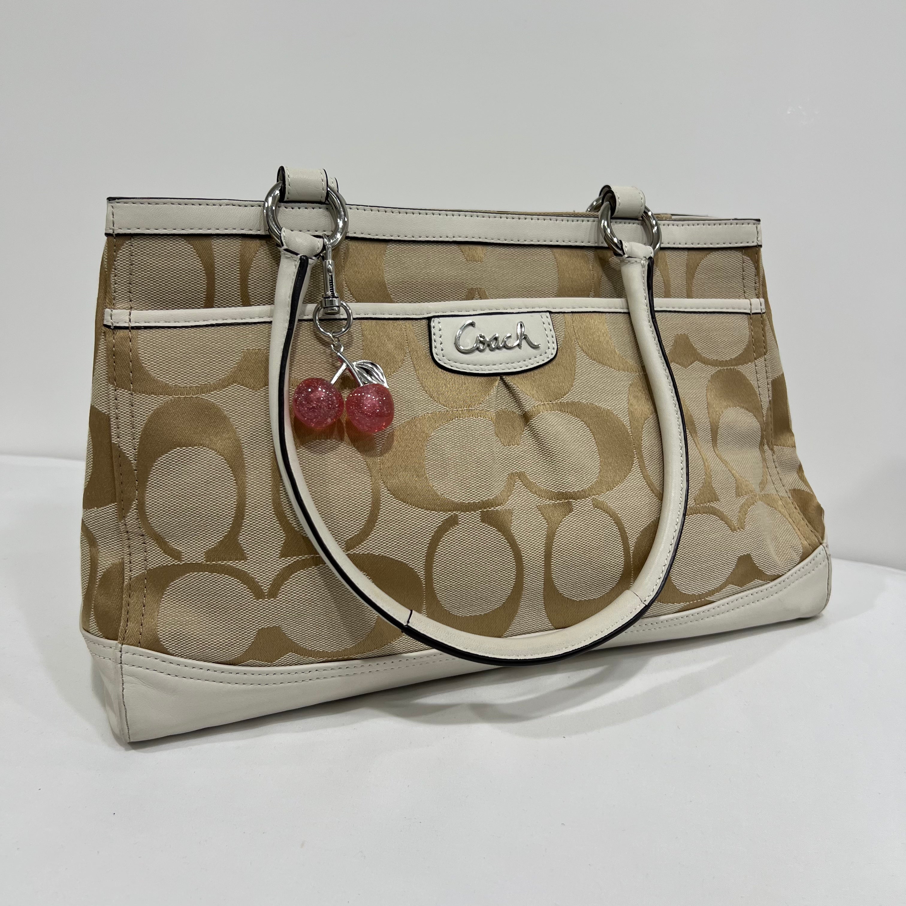 Coach Signature Carryall Bag