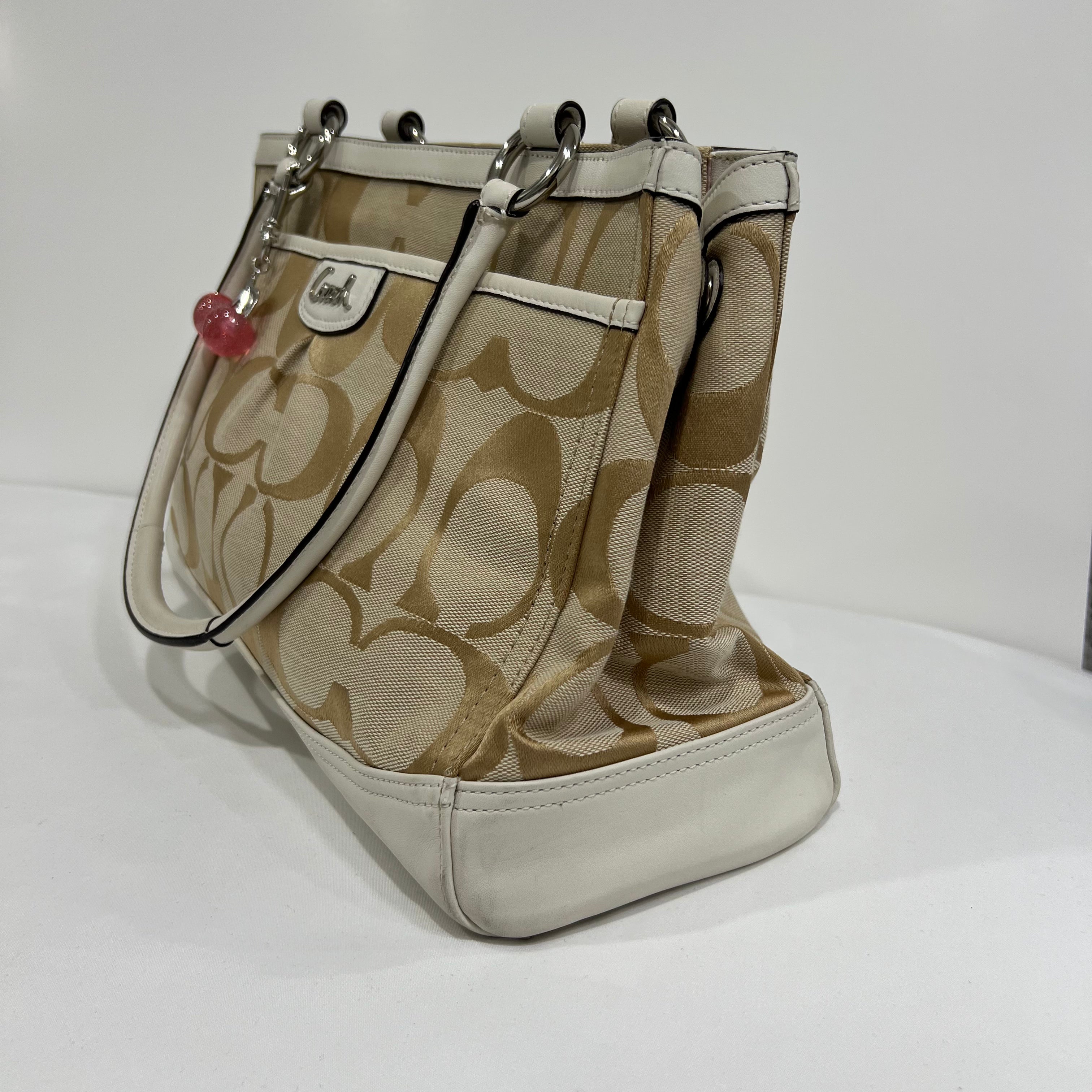 Coach Signature Carryall Bag