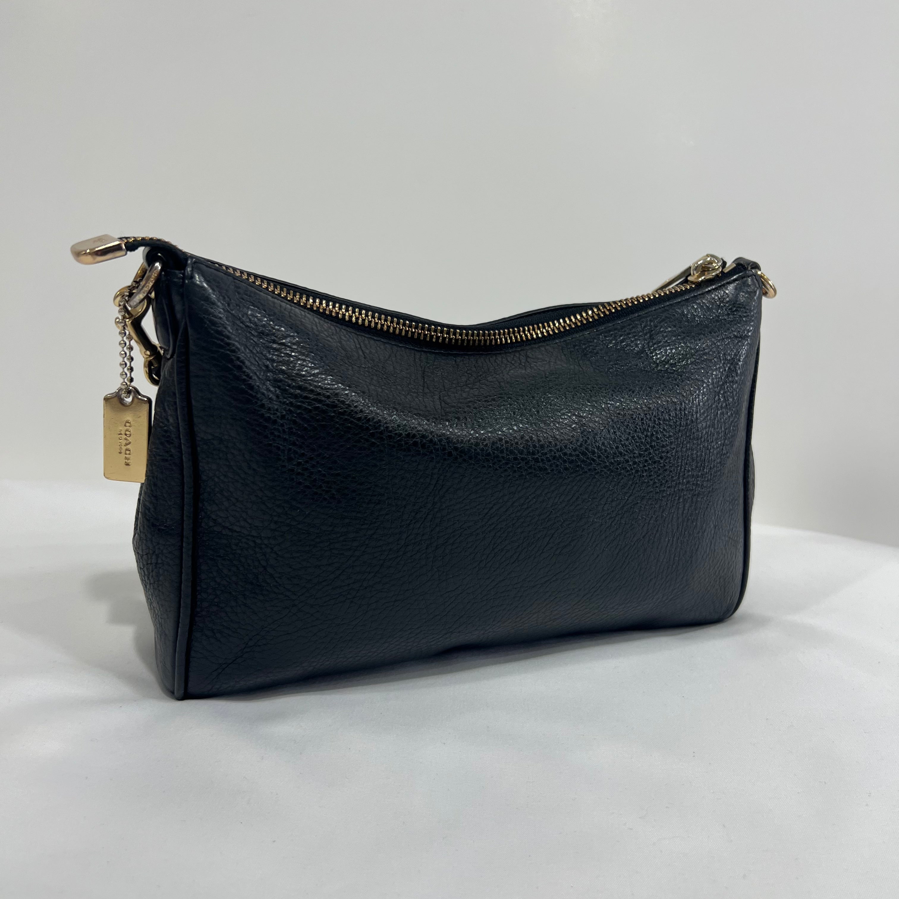 Coach Carrie Bag