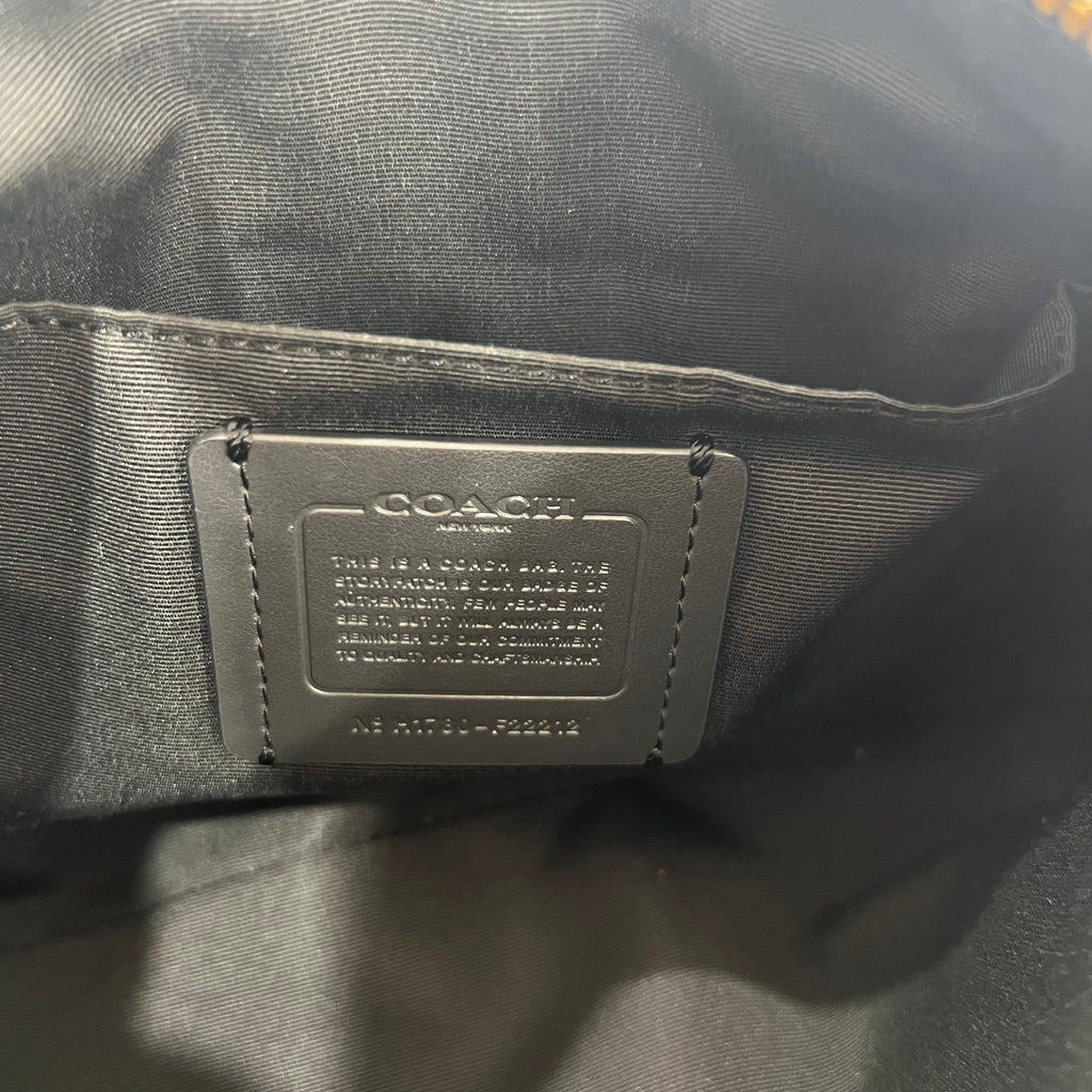Coach Carrie Bag