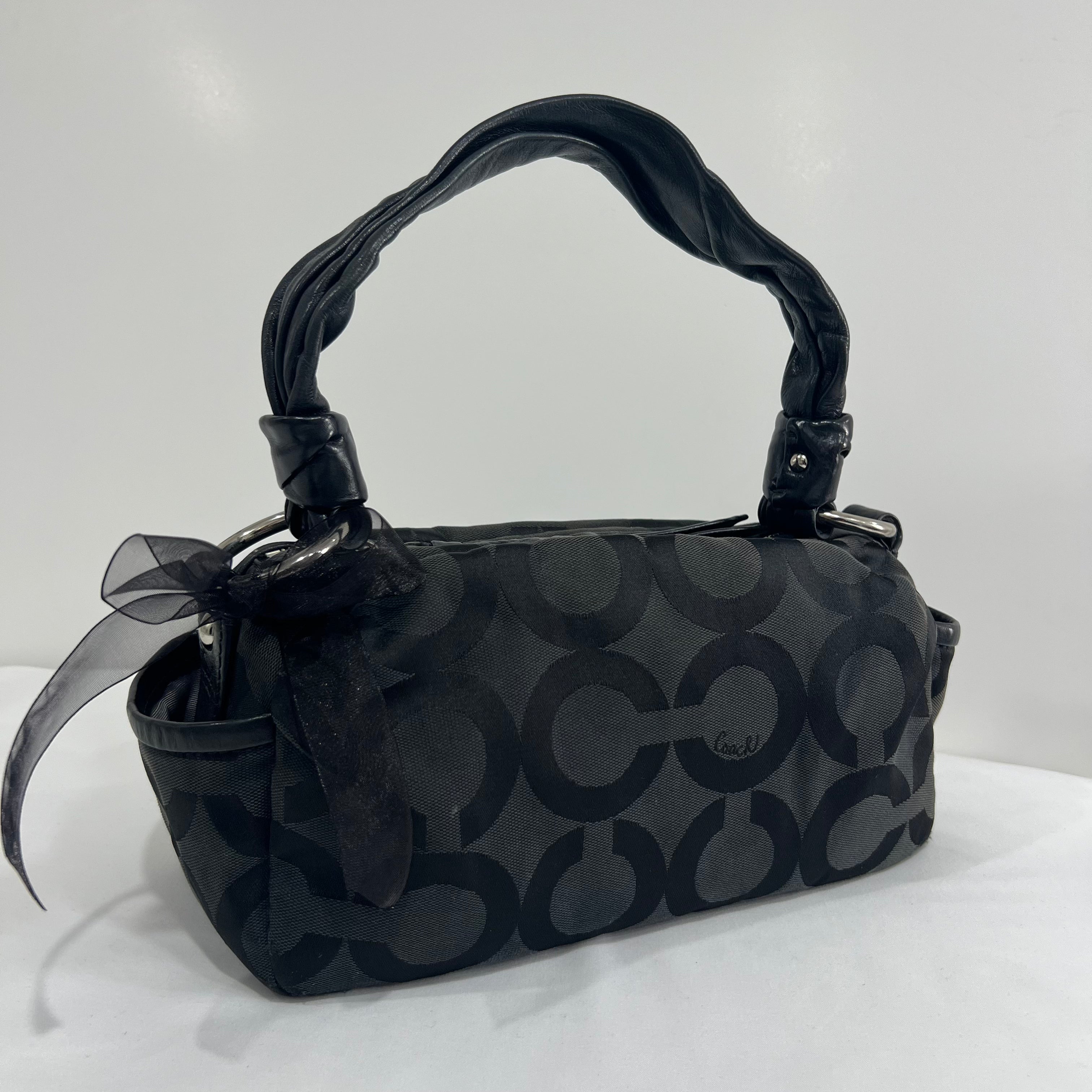 Coach Parker Optic Art Bag