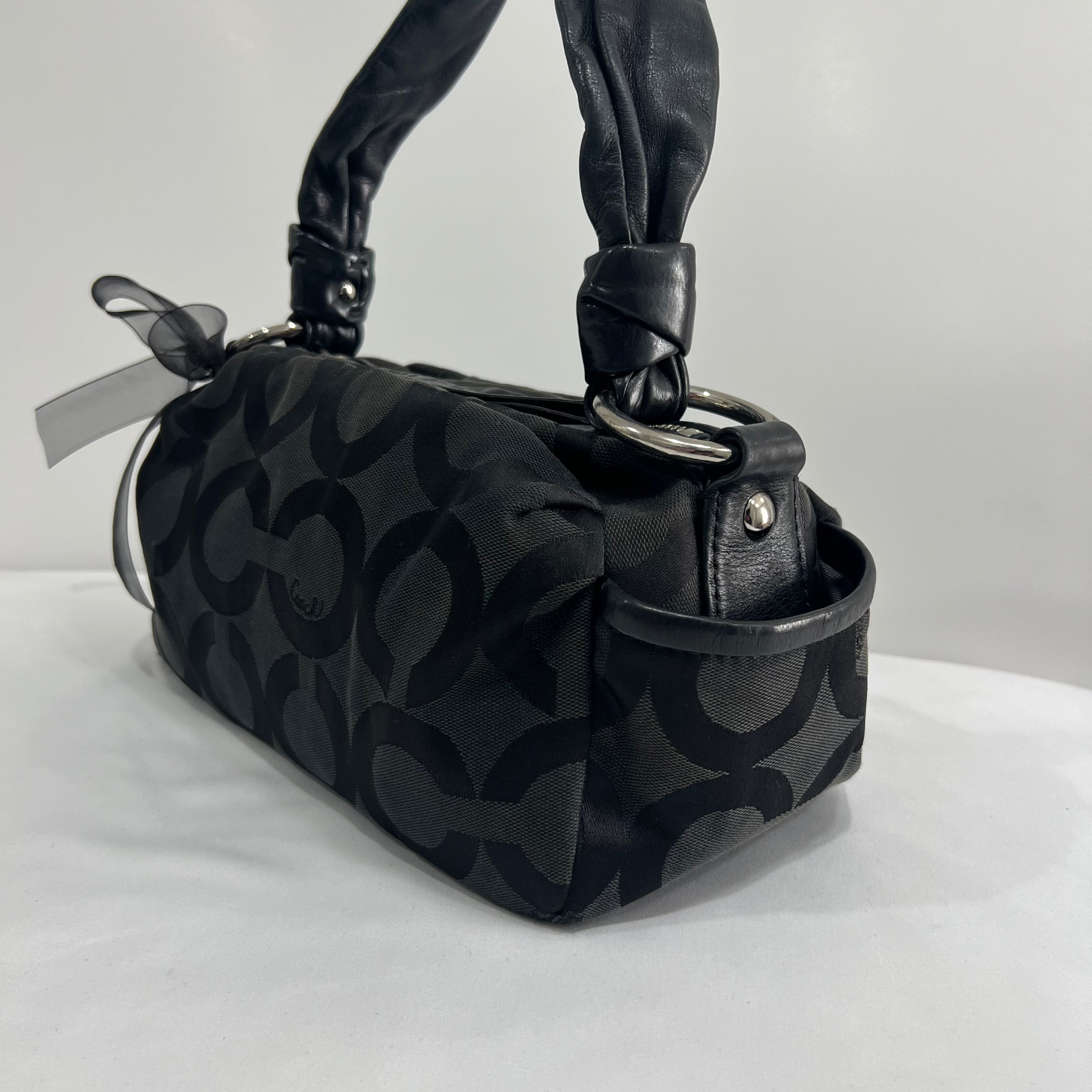 Coach Parker Optic Art Bag
