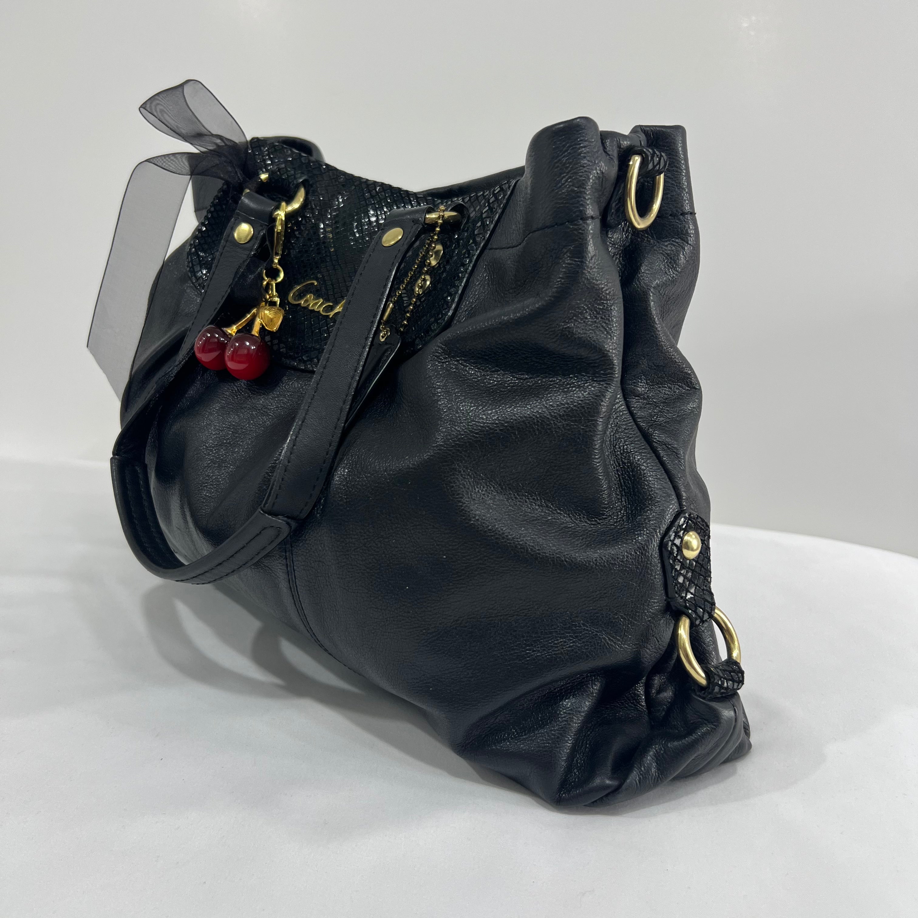 Coach Ashley Leather Carryall Bag